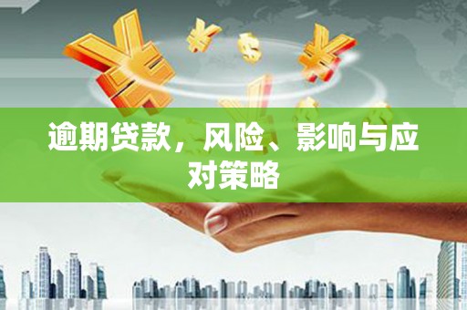 巴马逾期贷款，风险、影响与应对策略