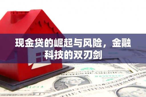 巴马现金贷的崛起与风险，金融科技的双刃剑