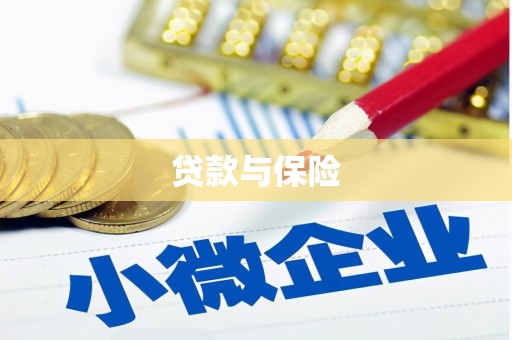 巴马贷款与保险