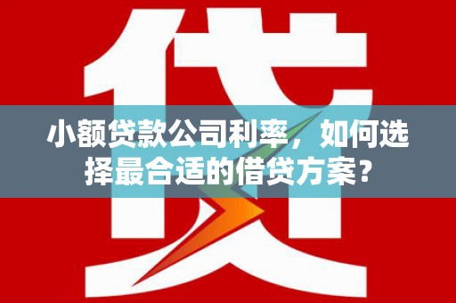 巴马小额贷款公司利率，如何选择最合适的借贷方案？