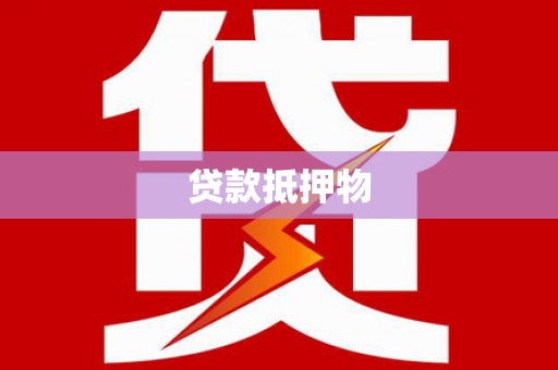 巴马贷款抵押物