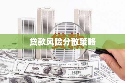 巴马贷款风险分散策略