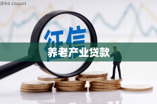 巴马养老产业贷款