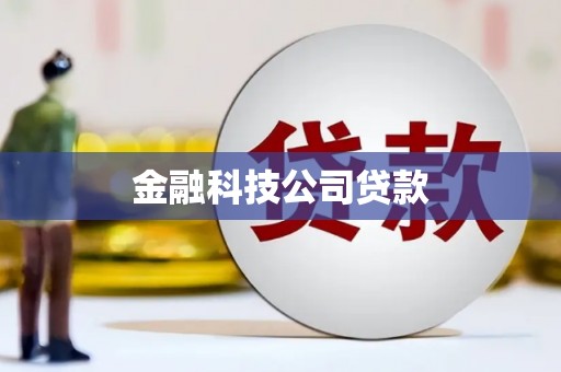 巴马金融科技公司贷款