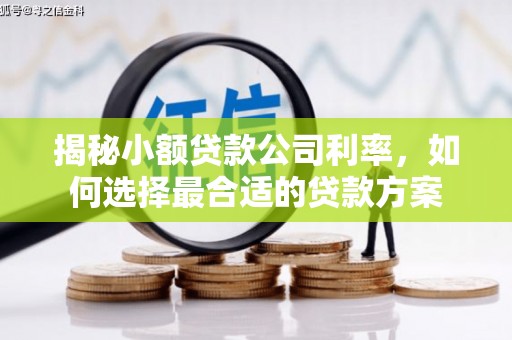 巴马揭秘小额贷款公司利率，如何选择最合适的贷款方案