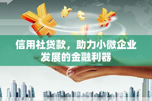 巴马信用社贷款，助力小微企业发展的金融利器