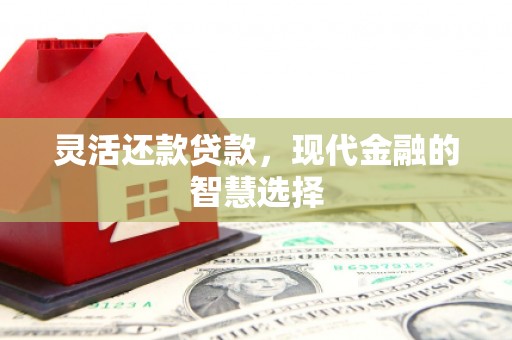 巴马灵活还款贷款，现代金融的智慧选择