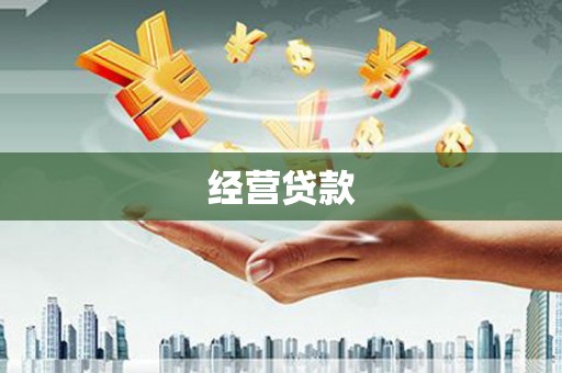 巴马经营贷款