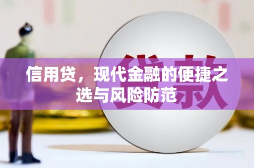巴马信用贷，现代金融的便捷之选与风险防范