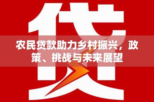 巴马农民贷款助力乡村振兴，政策、挑战与未来展望