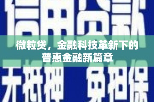巴马微粒贷，金融科技革新下的普惠金融新篇章