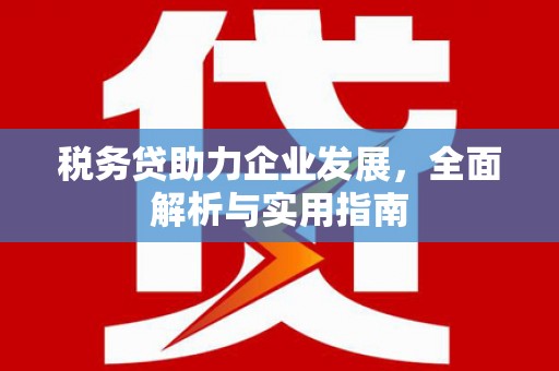 巴马税务贷助力企业发展，全面解析与实用指南