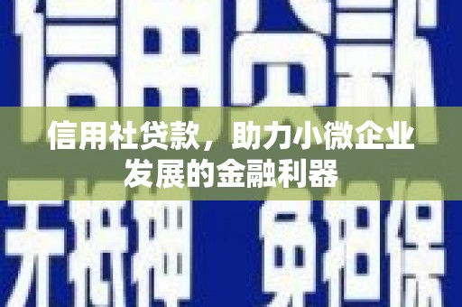 巴马信用社贷款，助力小微企业发展的金融利器