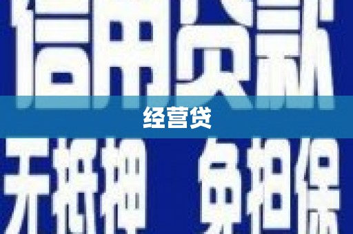 巴马经营贷