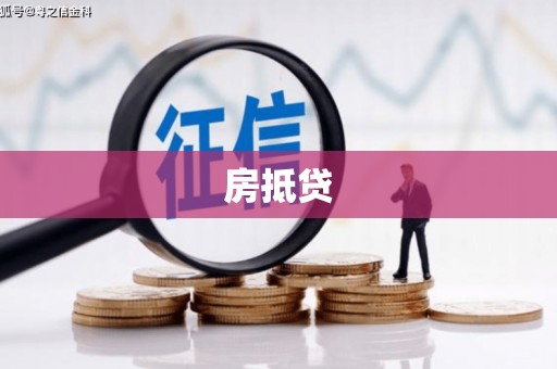 巴马房抵贷