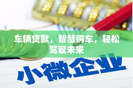 巴马车辆贷款，智慧购车，轻松驾驭未来