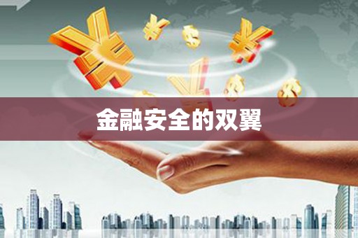 巴马金融安全的双翼