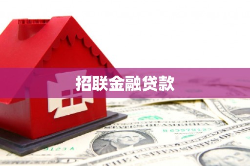 巴马招联金融贷款