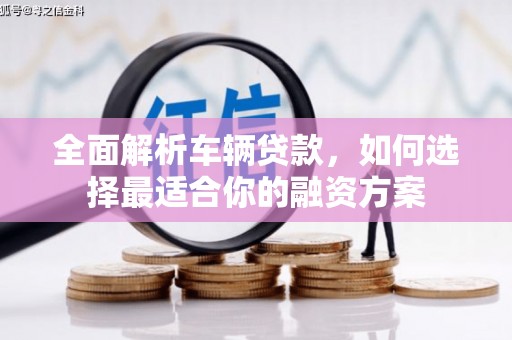 巴马全面解析车辆贷款，如何选择最适合你的融资方案