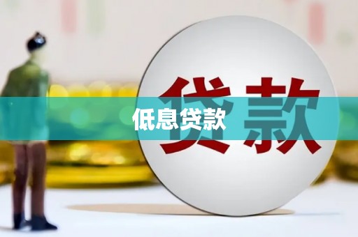 巴马低息贷款