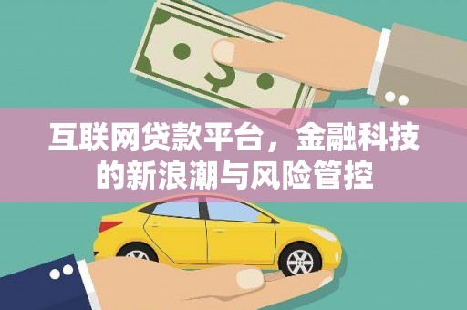 巴马互联网贷款平台，金融科技的新浪潮与风险管控