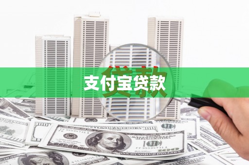 巴马支付宝贷款