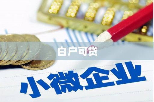 巴马白户可贷