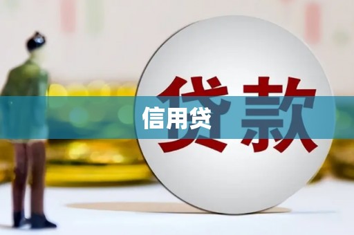 巴马信用贷