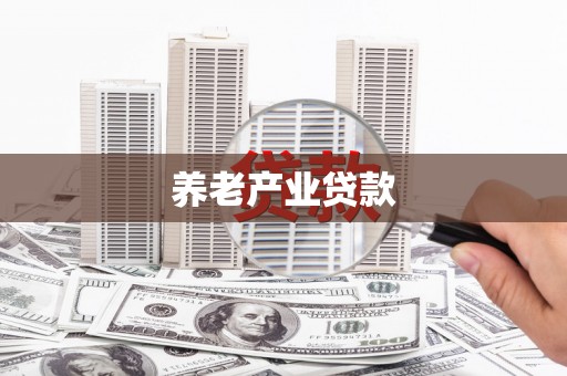 巴马养老产业贷款