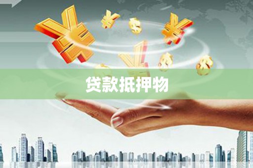 巴马贷款抵押物