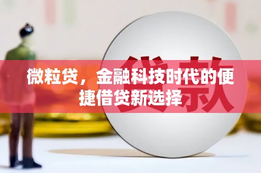 巴马微粒贷，金融科技时代的便捷借贷新选择