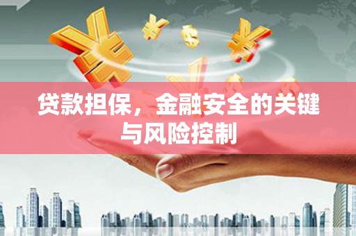 巴马贷款担保，金融安全的关键与风险控制