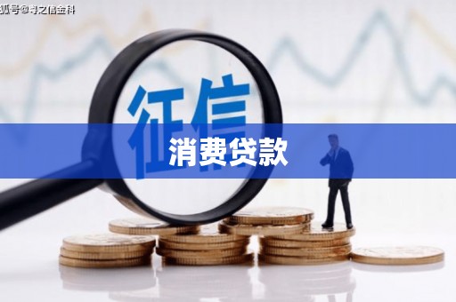 巴马消费贷款