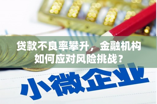 巴马贷款不良率攀升，金融机构如何应对风险挑战？