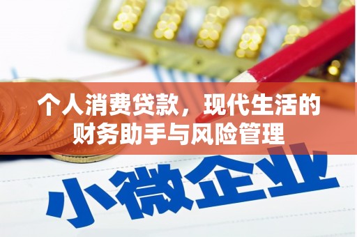 巴马个人消费贷款，现代生活的财务助手与风险管理