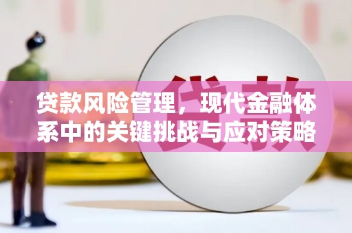 巴马贷款风险管理，现代金融体系中的关键挑战与应对策略