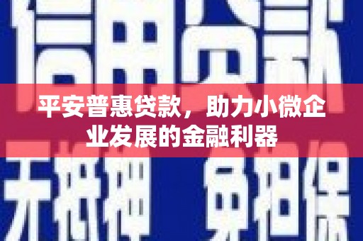 巴马平安普惠贷款，助力小微企业发展的金融利器