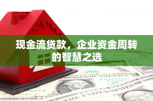 巴马现金流贷款，企业资金周转的智慧之选