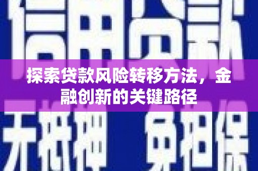 巴马探索贷款风险转移方法，金融创新的关键路径