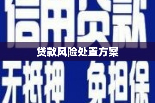 巴马贷款风险处置方案