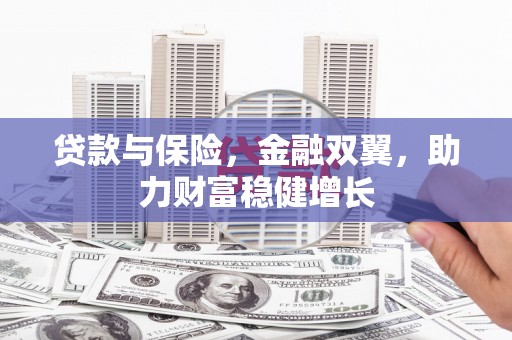 巴马贷款与保险，金融双翼，助力财富稳健增长