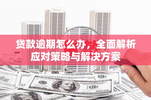 巴马贷款逾期怎么办，全面解析应对策略与解决方案