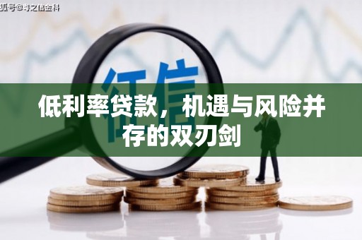 巴马低利率贷款，机遇与风险并存的双刃剑
