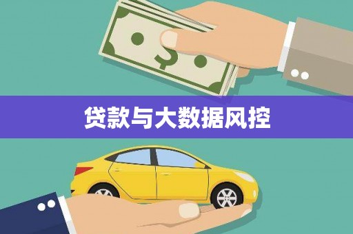 巴马贷款与大数据风控