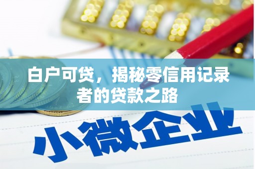 巴马白户可贷，揭秘零信用记录者的贷款之路