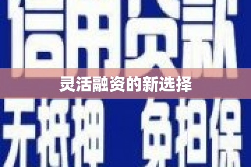 巴马灵活融资的新选择