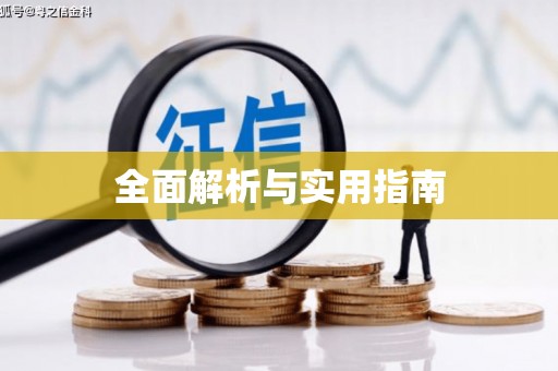 巴马全面解析与实用指南