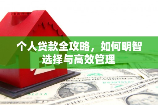 巴马个人贷款全攻略，如何明智选择与高效管理