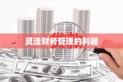 巴马灵活财务管理的利器