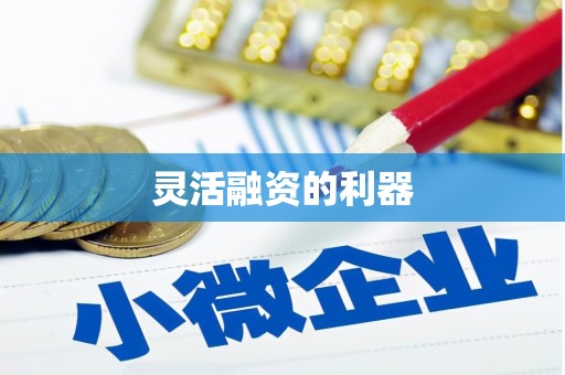 巴马灵活融资的利器